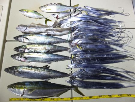 Hit Rush(ヒット ラッシュ） 釣果…