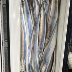 釣船 浦島太郎 釣果