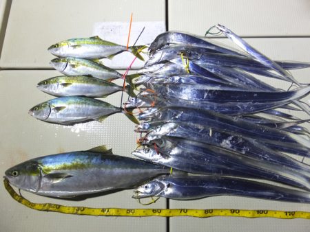 Hit Rush(ヒット ラッシュ） 釣果…