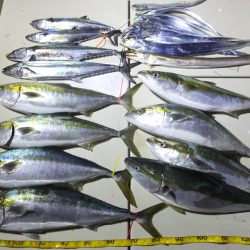 Hit Rush(ヒット ラッシュ) 釣果