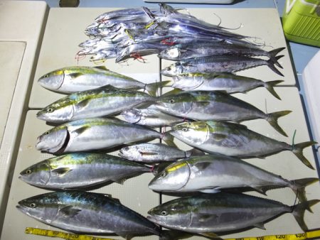 Hit Rush(ヒット ラッシュ） 釣果…