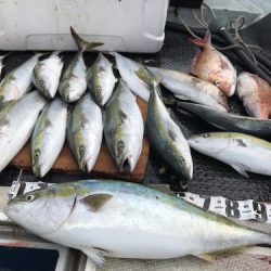 釣船 浦島太郎 釣果