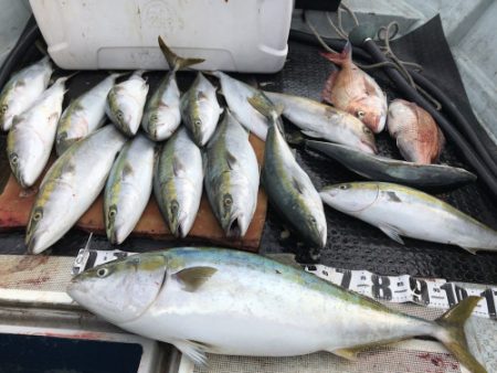 釣船 浦島太郎 釣果