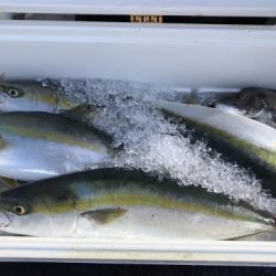 釣船 浦島太郎 釣果