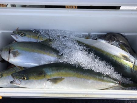 釣船 浦島太郎 釣果
