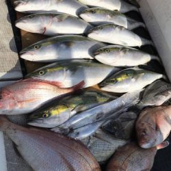 釣船 浦島太郎 釣果