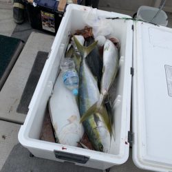 第八大安丸 釣果