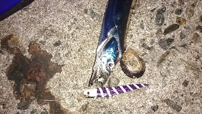 令和初の刀狩り行ってみた！