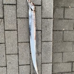 ぎりぎり坊主逃れ