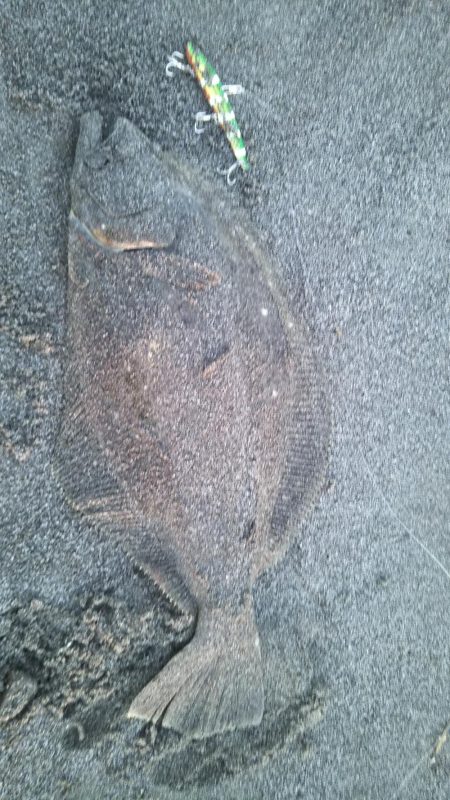 毎週通いつめて………