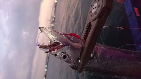 今日はエサ釣り！