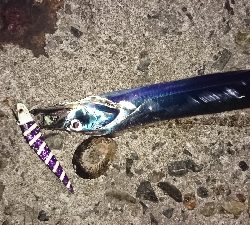 令和初の刀狩り行ってみた！