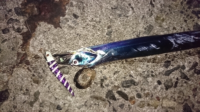 令和初の刀狩り行ってみた！