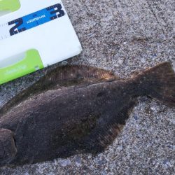 毎週通いつめて………