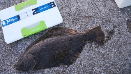 毎週通いつめて………