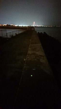 貝塚人工島でヒイカ(^^)