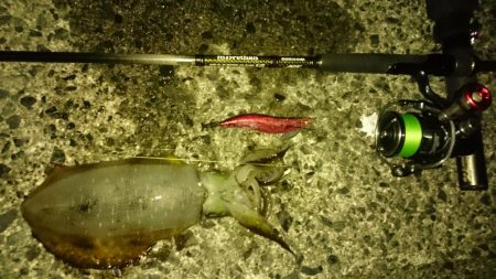 食べ頃サイズ2杯get(・x・*)