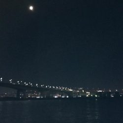 タチウオのきまぐれには気をつけよう