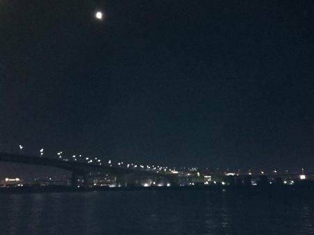 タチウオのきまぐれには気をつけよう