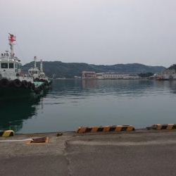 こんな時間に太刀魚が釣れました。