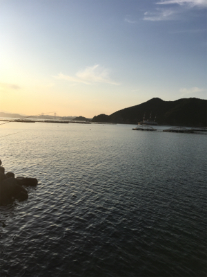 淡路島かるーい釣り