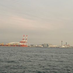 タチウオいまいち、アナゴがいい