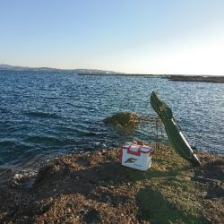 みなべ堺でグレ釣り