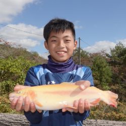 フィッシングレイクたかみや 釣果