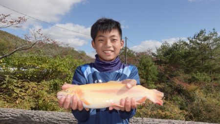 フィッシングレイクたかみや 釣果