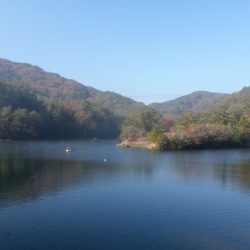 フィッシングレイクたかみや 釣果