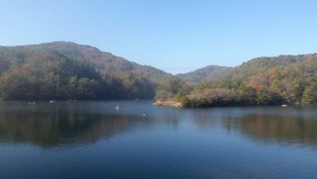 フィッシングレイクたかみや 釣果