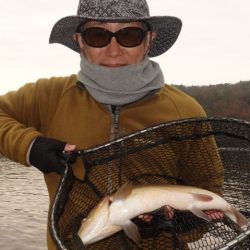 フィッシングレイクたかみや 釣果