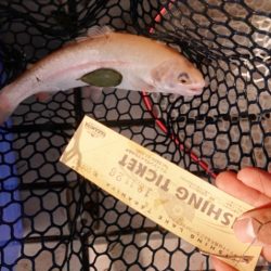 フィッシングレイクたかみや 釣果