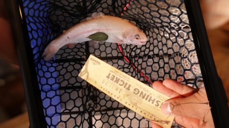 フィッシングレイクたかみや 釣果