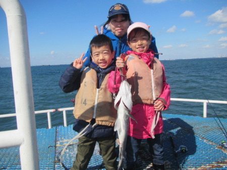 オリジナルメーカー海づり公園(市原市海づり施設) 釣果