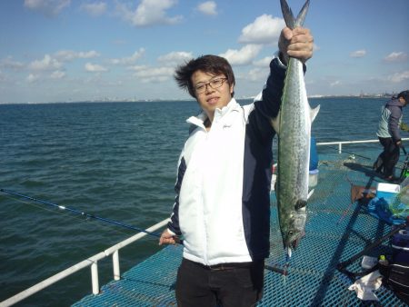 オリジナルメーカー海づり公園(市原市海づり施設) 釣果