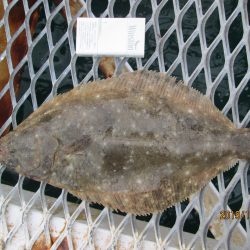 下関フィッシングパーク 釣果