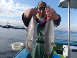 久里浜黒川本家 釣果