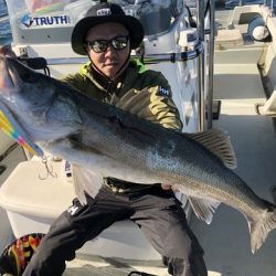 Rush(ラッシュ) 釣果