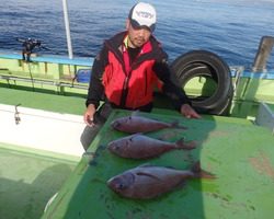 久里浜黒川本家 釣果