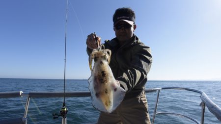 まるいち丸 ZERO-1 釣果