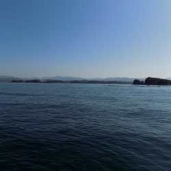 フィッシングボート空風(そらかぜ) 釣果