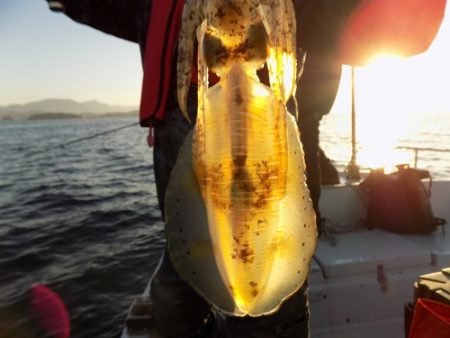フィッシングボート空風(そらかぜ) 釣果