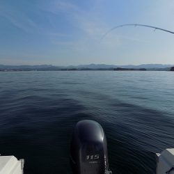 フィッシングボート空風(そらかぜ) 釣果