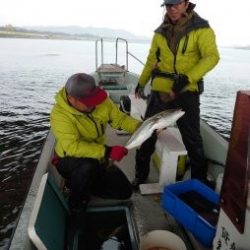 えすぽあ 釣果