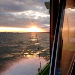 深川 吉野屋 釣果