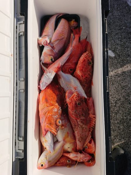 エンペラー 釣果