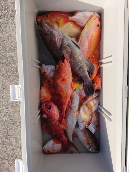 エンペラー 釣果