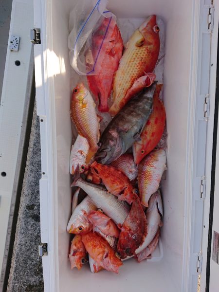 エンペラー 釣果