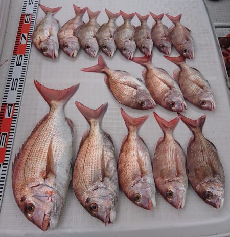 遊漁船 家入 釣果